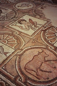 4  Petra _Byzantijnse kerk _mozaieken 2