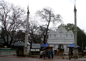 Anuradhapura - Sri Maha Bodhi (heilige Bo-boom)