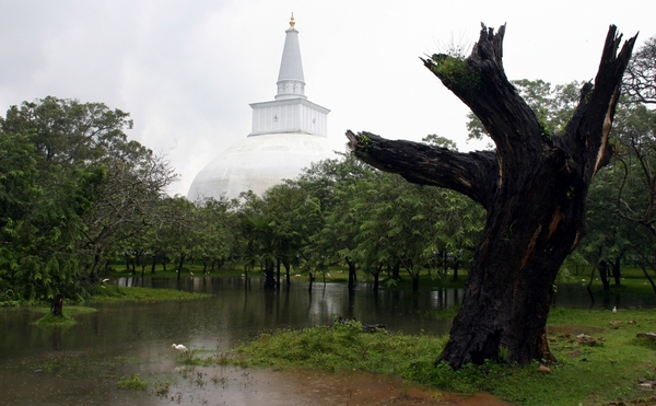 Anuradhapura - Ruwanweli Seya of Maha Stupa