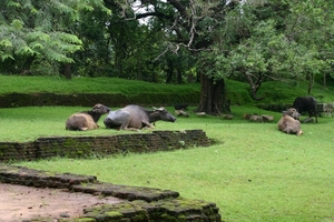 Sigiriya - even uitrusten