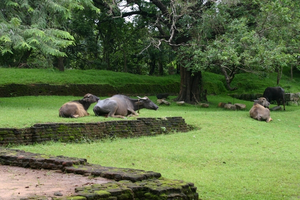 Sigiriya - even uitrusten