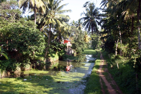 Negombo - hollands kanaal