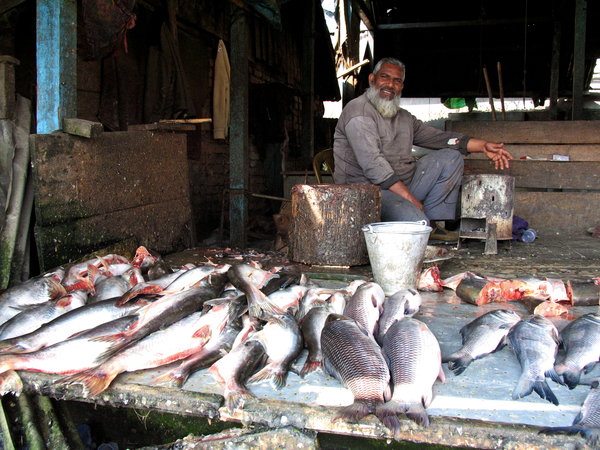 VISHANDELAAR IN ZIRO