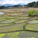 HET PRACHTIGE LANDSCHAP OMGEVING HONG