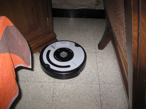 de Roomba Robot poetst het huis 007