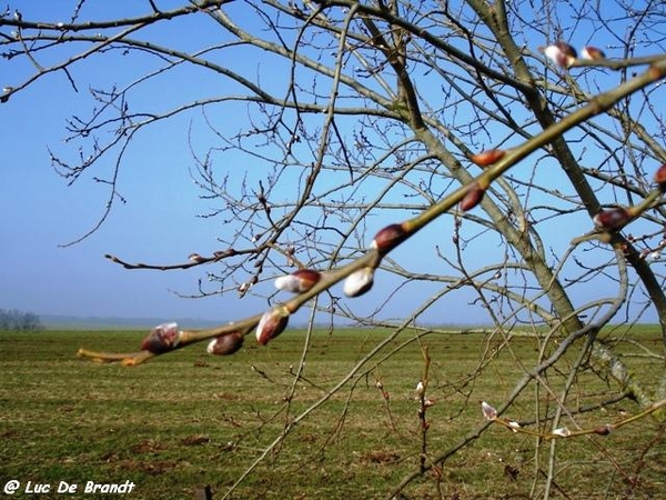 marche Adeps Froidchapelle Wallonie Ardennen