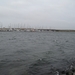 2011-02-7 port zelande vinkskes 029