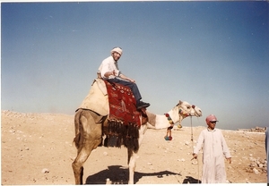 Staf op kameel