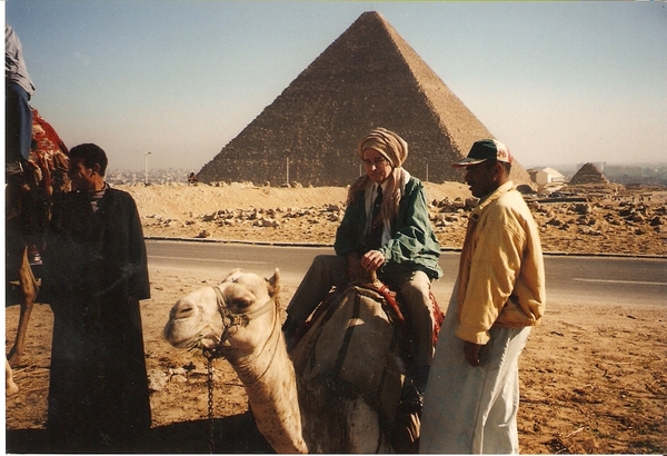 Nol op kameel
