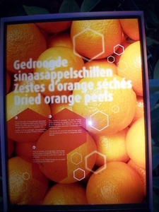 039-Sinaasappelschillen..