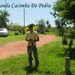 243 Fazenda Cacimba de Pedra, Miranda , Pantanal