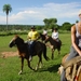 401 Paardentocht, Pantanal