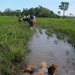 407  B  Paardentocht, Pantanal