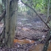 410 Natuurwandeling, Pantanal