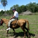 312 Paardentocht Pantanal