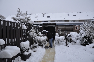 winter 2010 (5)