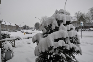 winter 2010 (7)