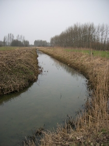 44-Vlassenbroekse schorren en polder