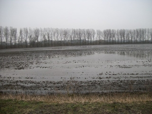 50-Ondergelopen polders