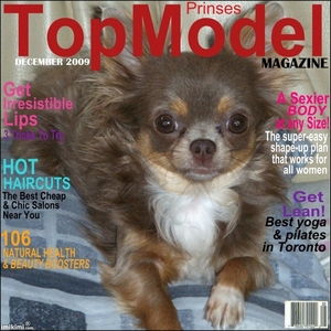 Topmodel  2011