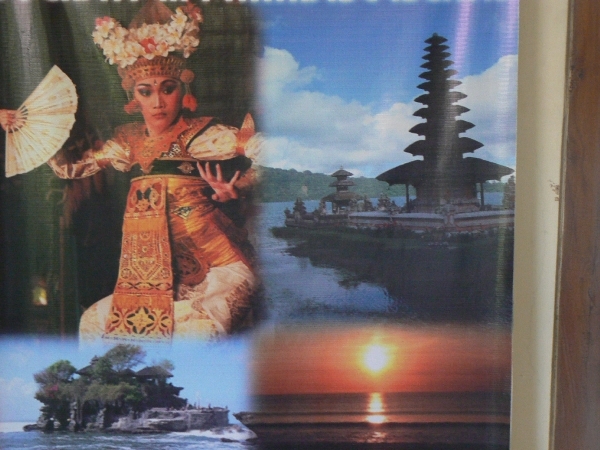 Poster over Bali