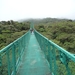 15 Monteverde, Selvatura park, hangbruggen _P1070741