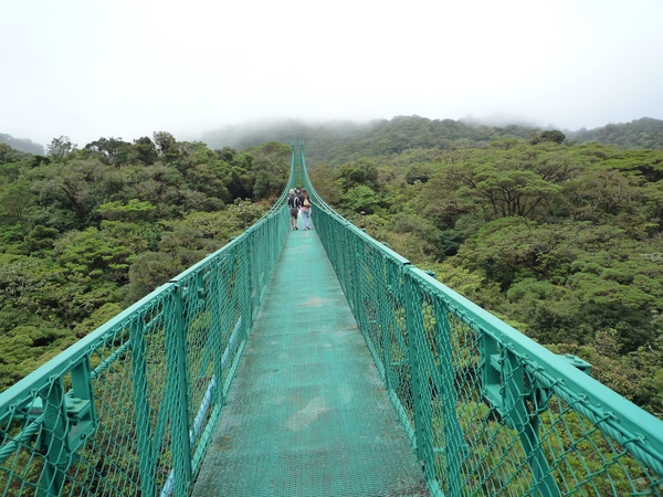 15 Monteverde, Selvatura park, hangbruggen _P1070741