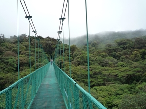 15 Monteverde, Selvatura park, hangbruggen _P1070742