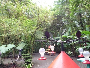 18 Monteverde, Selvatura park, Kolibrie tuin _P1070783