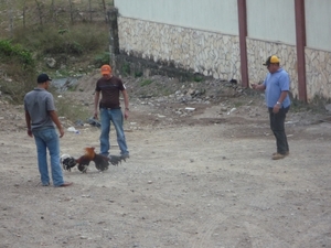 39 El Salvador -- via Guatemala -- Copan, Honduras _P1080535