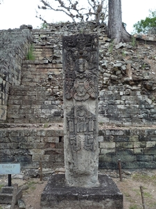 44 Copan Maya ruines _P1080573