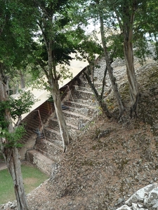 44 Copan Maya ruines _P1080607