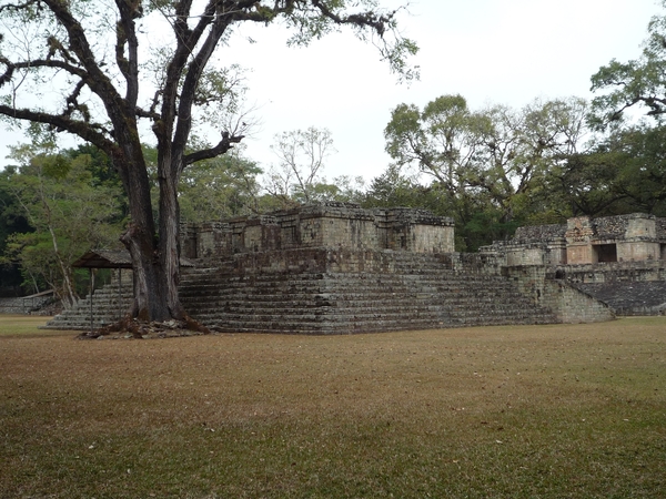 44 Copan Maya ruines _P1080609