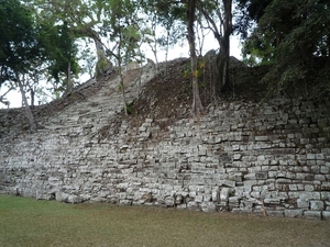 44 Copan Maya ruines _P1080611