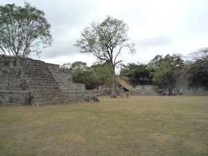 44 Copan Maya ruines _P1080636