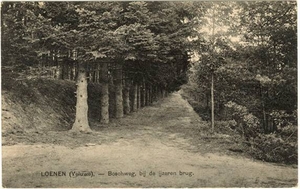 Boschweg bij de ijzeren brug 1921