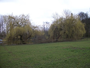74-Park van Kasteel Wissekerke