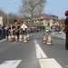 Carnaval Merelbeke 204