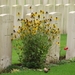 DSC2965 - Ypres Reservoir Cemetery