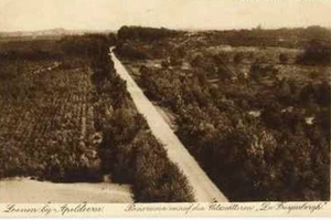 Panorama vanaf uitzichttoren ''De Freyenbergh''