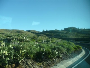 20110225 dag 6: Tenerife, daguitstap 2