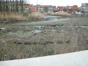 19-Oude Scheldemeanders-Gentbrugge