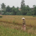 Vietnam 2006 063