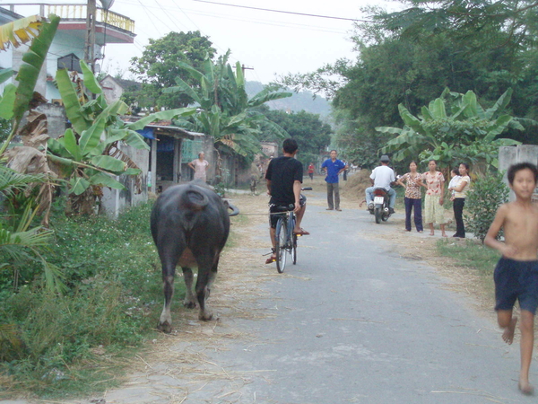 Vietnam 2006 072