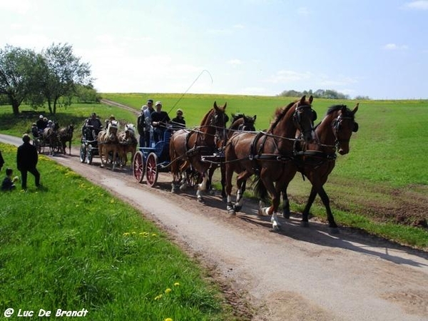 marche Adeps wandeling Honnay Ardennen