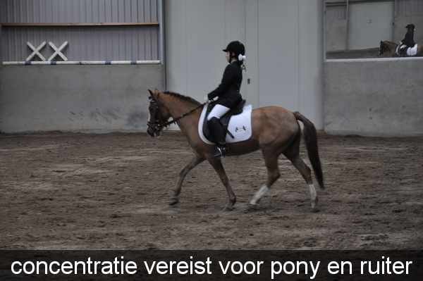 concentratie vereist voor pony en ruiter