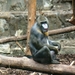 ZOO 27-7-2010 020