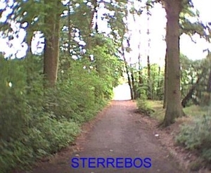 STERREBOS 2