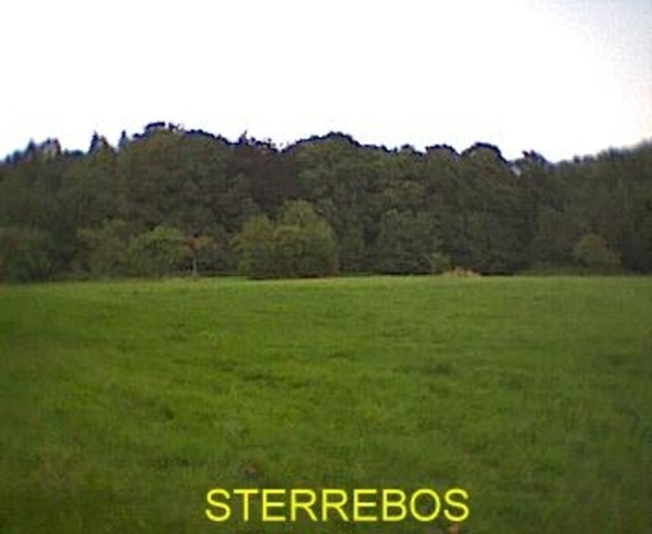 STERREBOS 3
