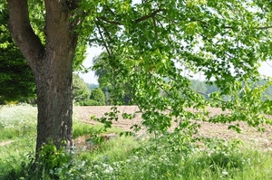 001 HET BOEREN PLATTE LAND...PARELTJES IN DE NATUUR !